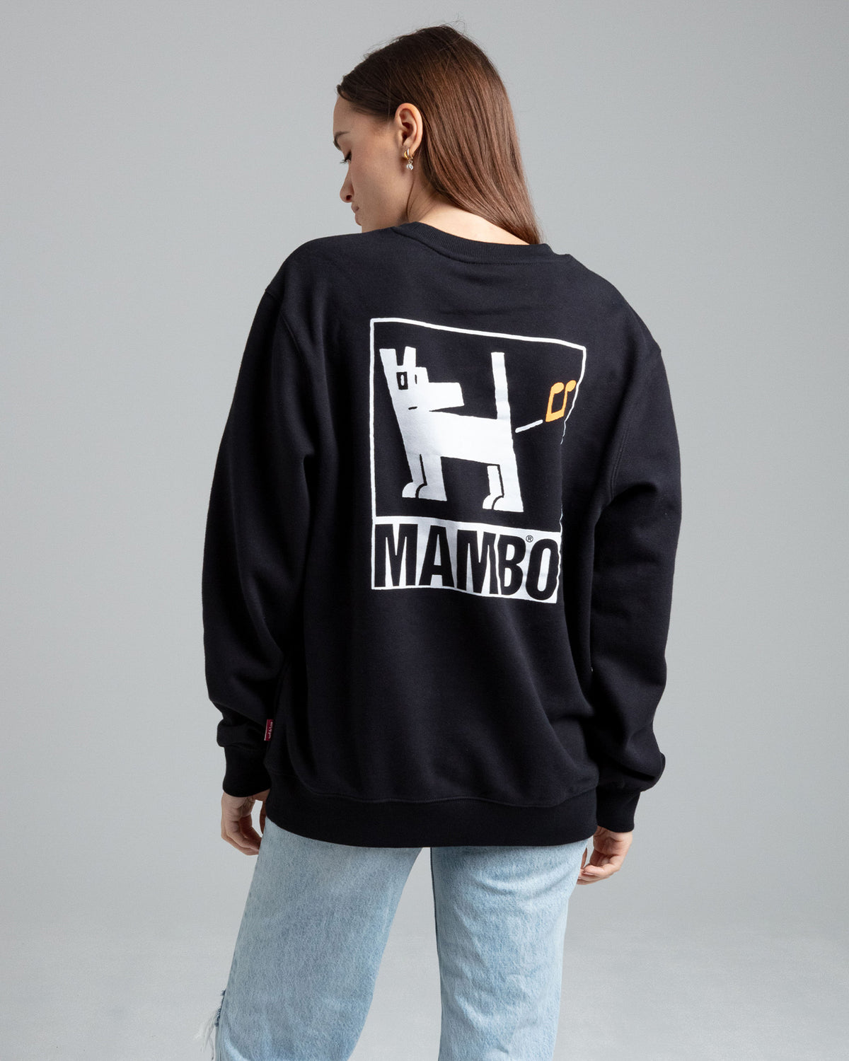 FARTING DOG CREW JUMPER