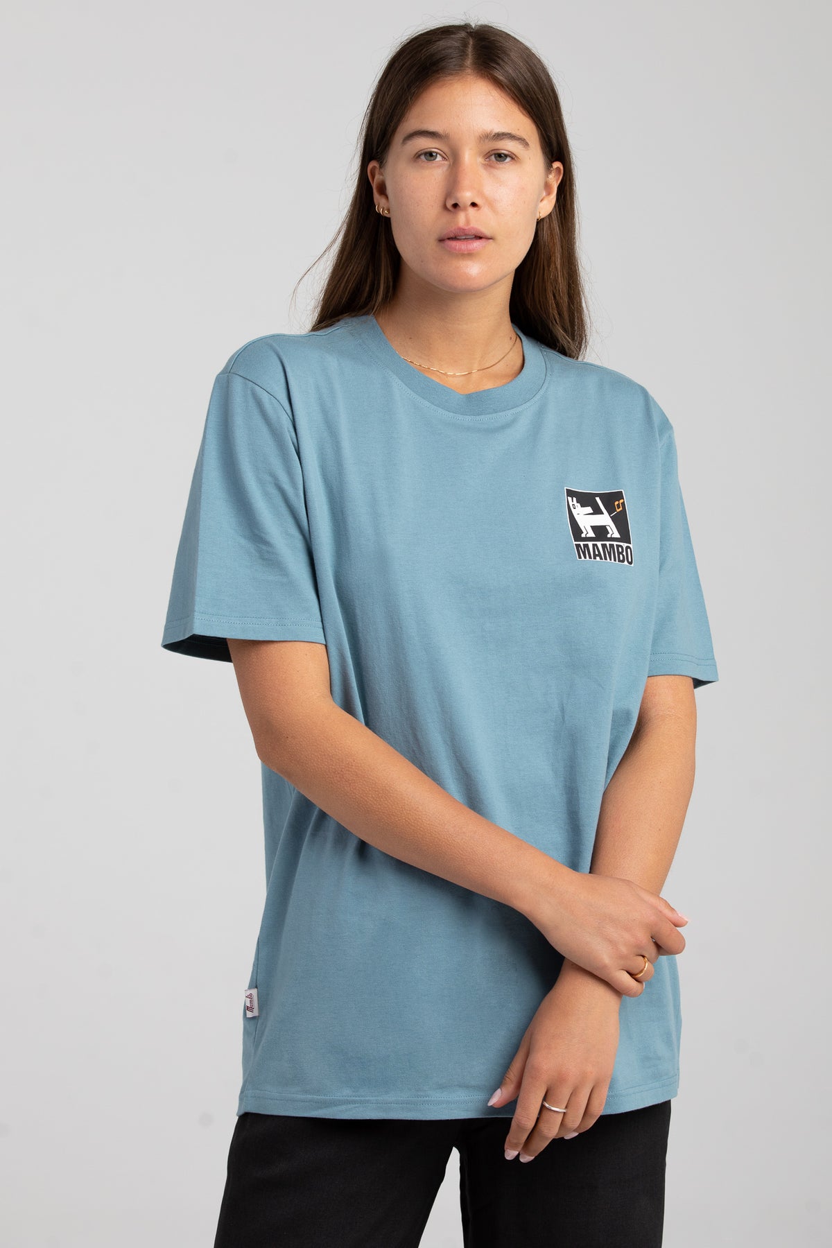 FARTING DOG T-SHIRT - BLUE