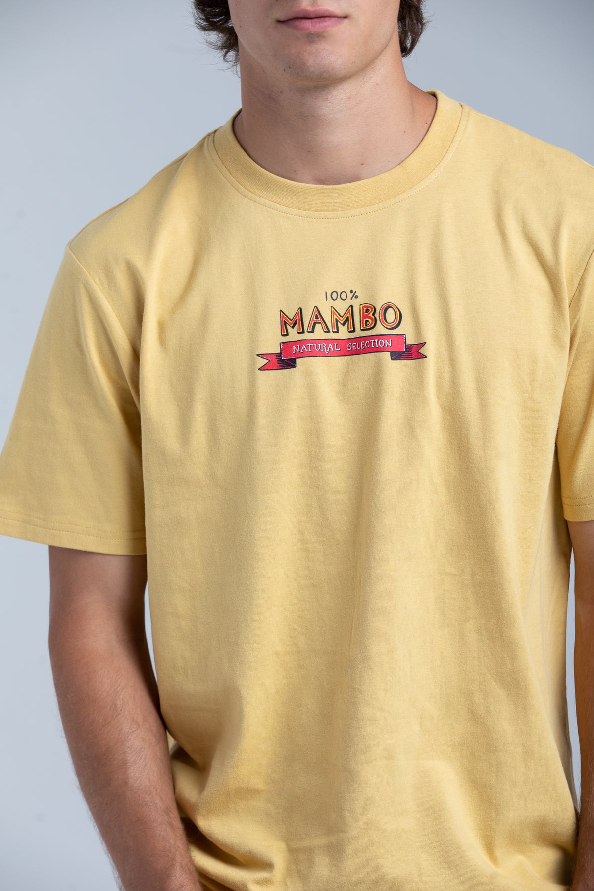 CHICKEN PALMY T-SHIRT