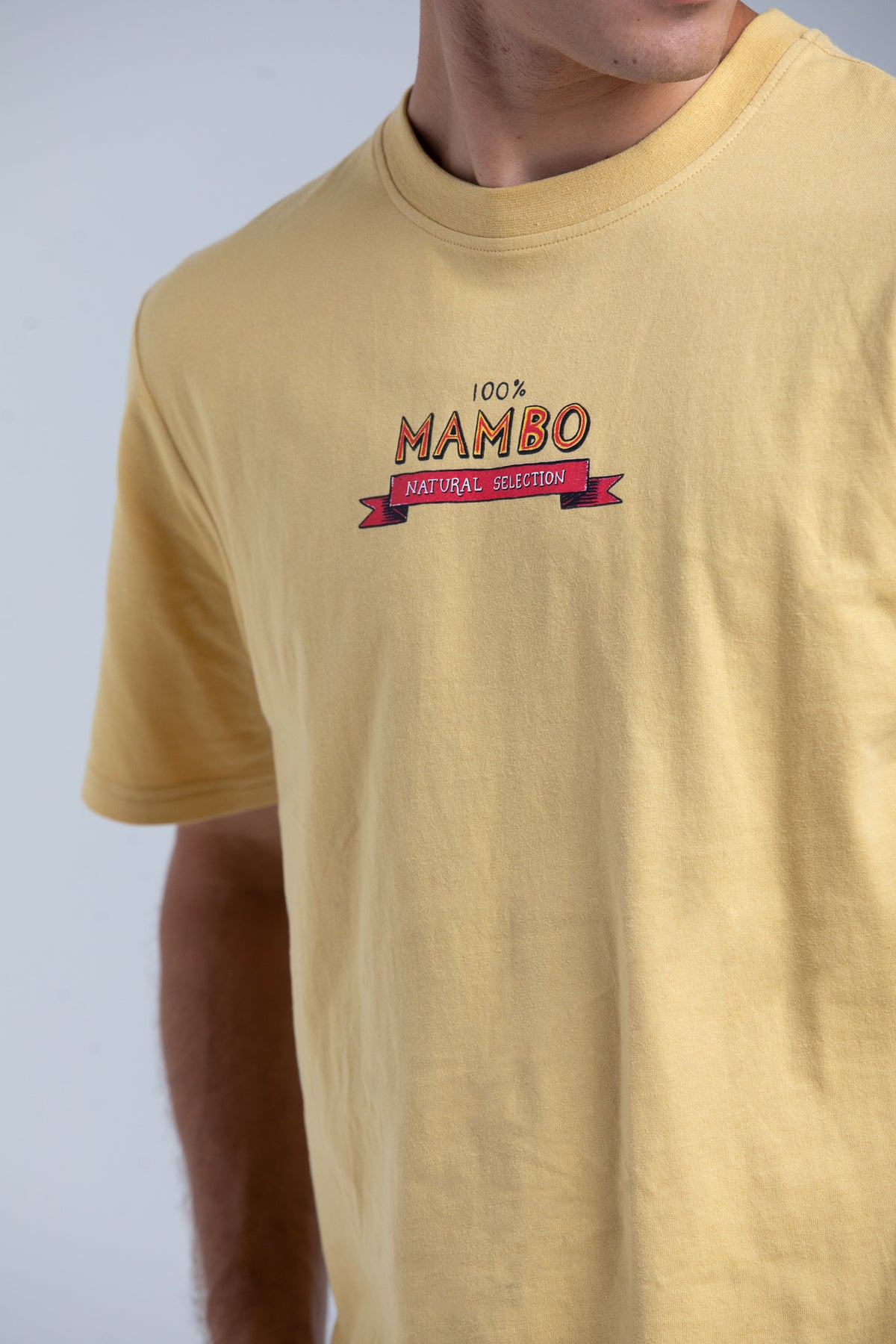 CHICKEN PALMY T-SHIRT